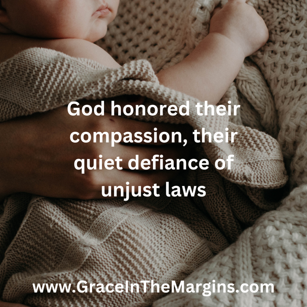 egyptian midwives defied the unjust authority of Pharoah and saved Hebrew baby boys from death
