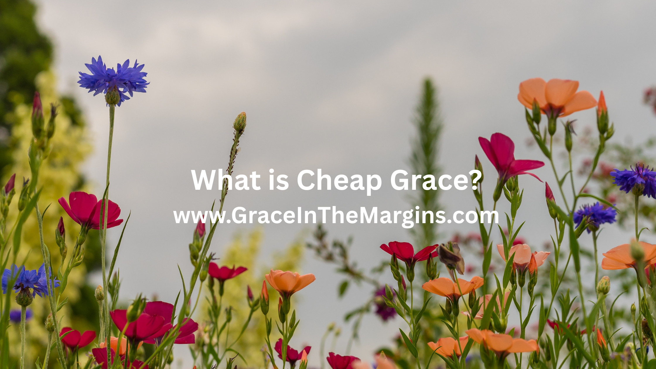 What is cheap grace